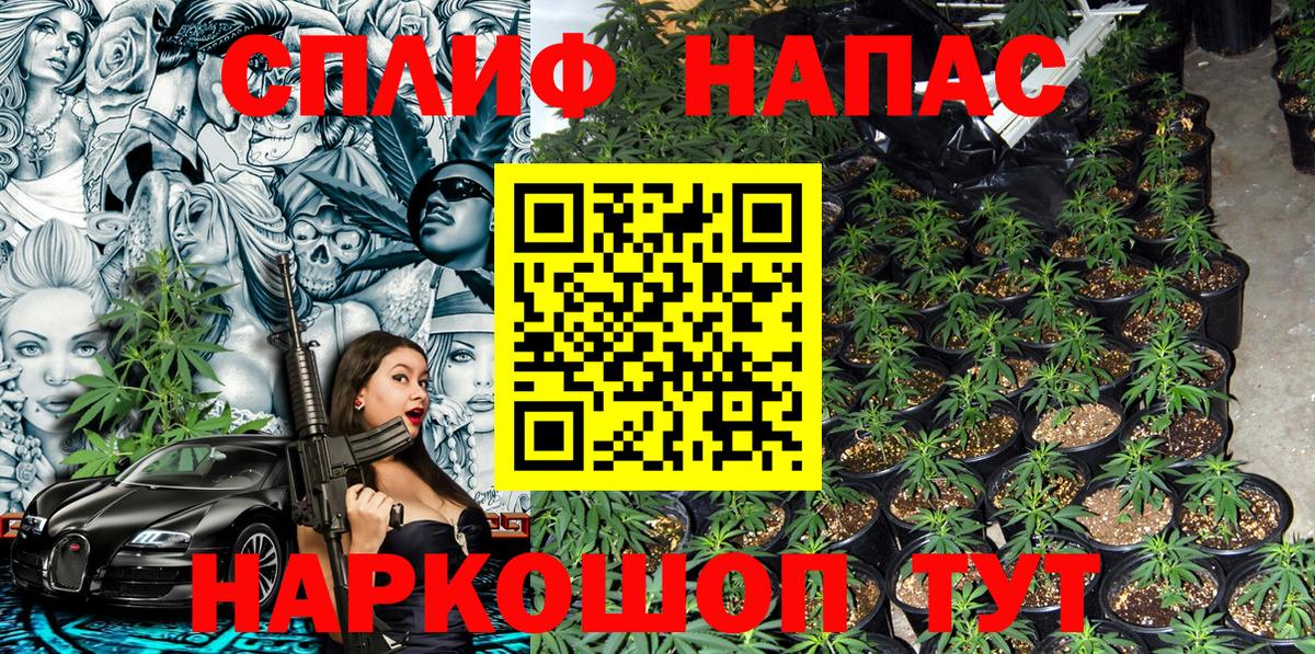 Марихуана конопля  Каннабис VHQ  Новодвинск  Вход с VPN  Каннабис планчик 