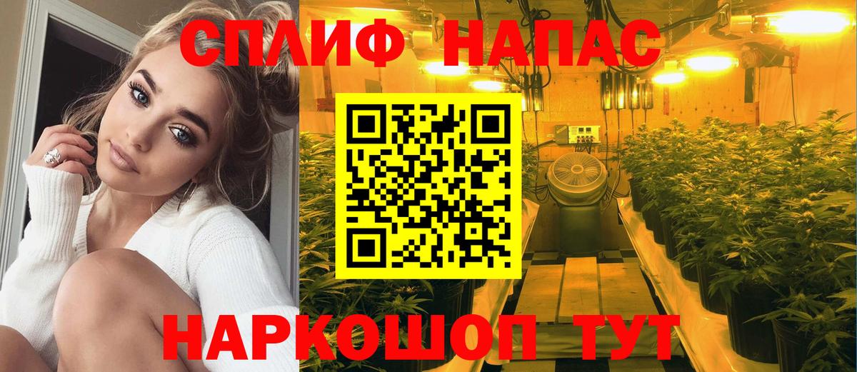 Марихуана гибрид Новодвинск